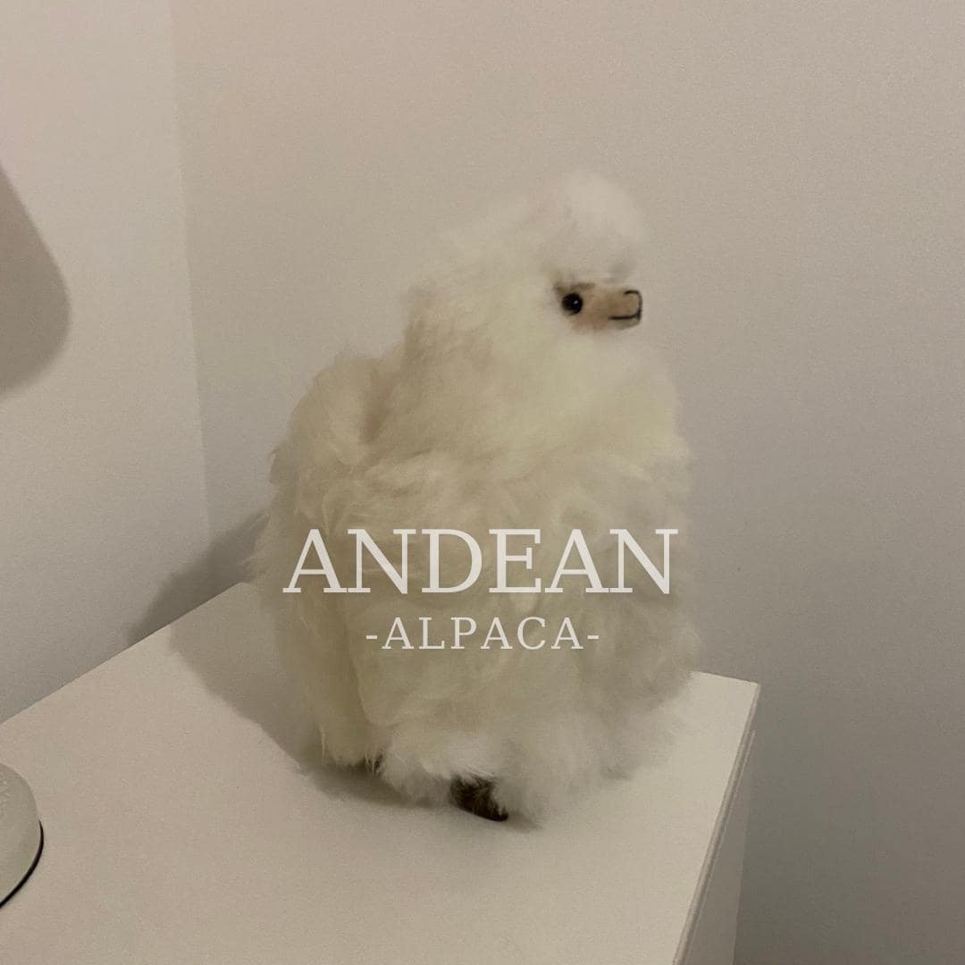 Figura de alpaca bebé: adorno andino hecho a mano, juguete de suave piel de alpaca, decoración peruana, bonito regalo para decorar estanterías.