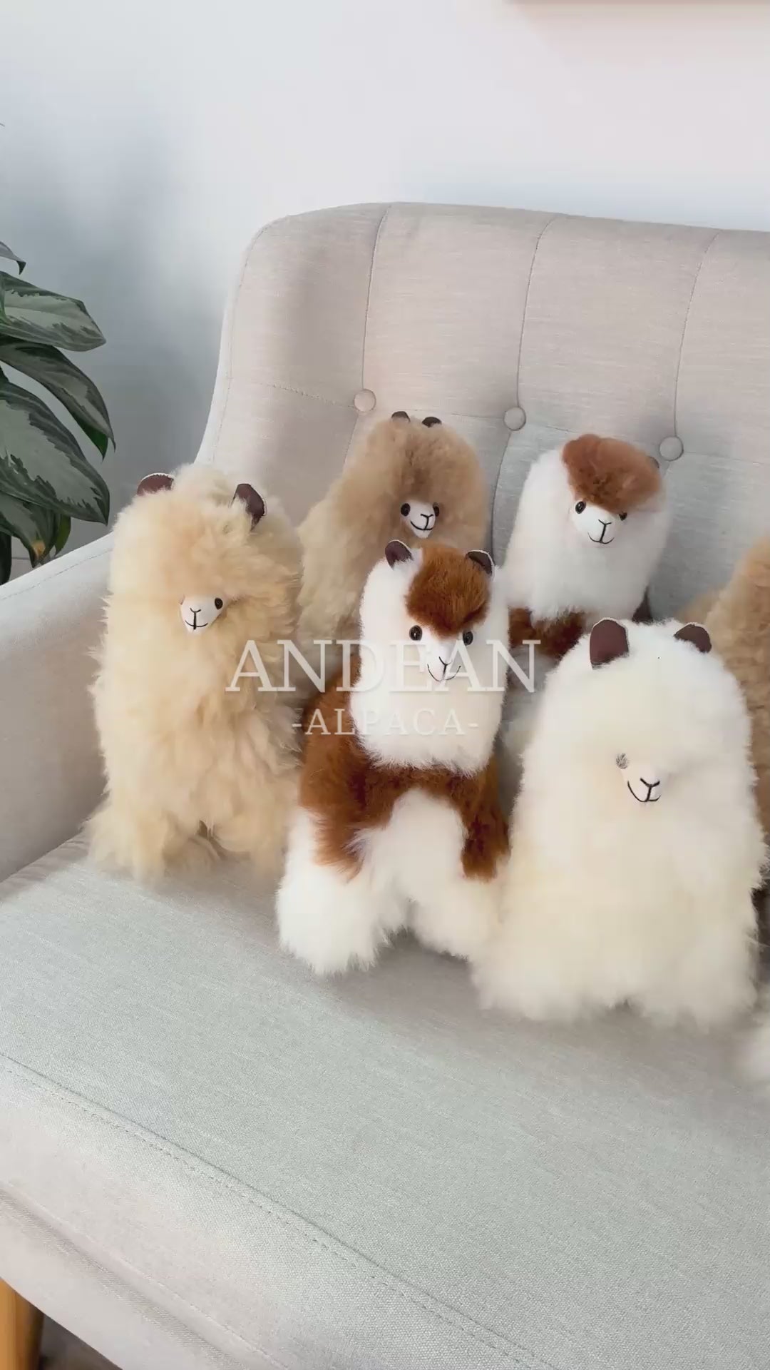 Baby Alpaca Figurine – Handmade Andean Ornament, Soft Alpaca Fur Toy - White